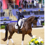 Georgia riding at a dressage comp